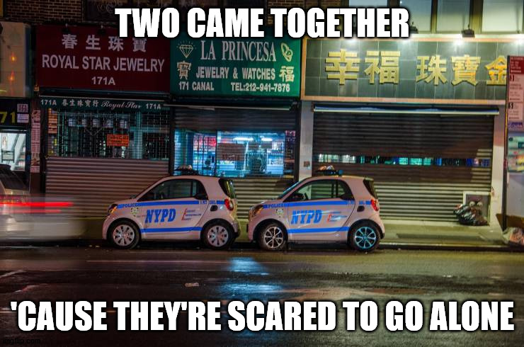 Where do the crooks sit? | TWO CAME TOGETHER; 'CAUSE THEY'RE SCARED TO GO ALONE | image tagged in police | made w/ Imgflip meme maker