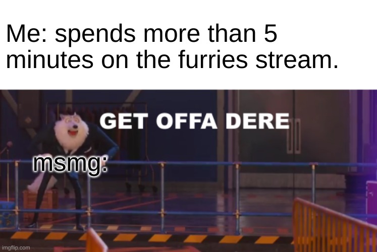 yes. this is a template now | Me: spends more than 5 minutes on the furries stream. msmg: | image tagged in sing 2 get offa dere | made w/ Imgflip meme maker