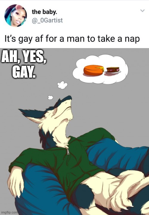 ZZZzzz... | AH, YES,
GAY. | image tagged in furry,nap,memes,twitter | made w/ Imgflip meme maker