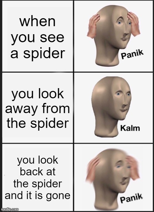 Scary Spider Meme