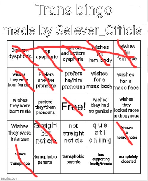 Trans Bingo | image tagged in trans bingo | made w/ Imgflip meme maker