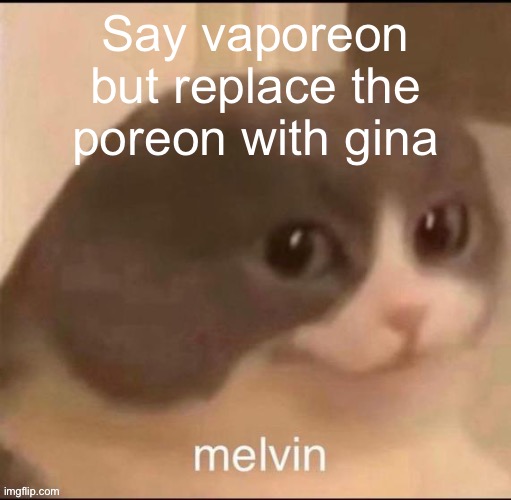 melvin | Say vaporeon but replace the poreon with gina | image tagged in melvin | made w/ Imgflip meme maker