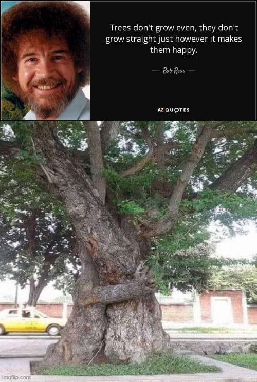 You said it, Bob. | image tagged in funny,gay,memes,cute,tree,bob ross | made w/ Imgflip meme maker