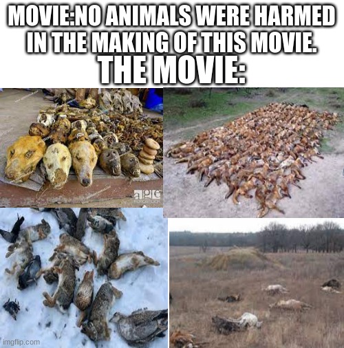 Blank White Template | MOVIE:NO ANIMALS WERE HARMED IN THE MAKING OF THIS MOVIE. THE MOVIE: | image tagged in blank white template,dark humor | made w/ Imgflip meme maker