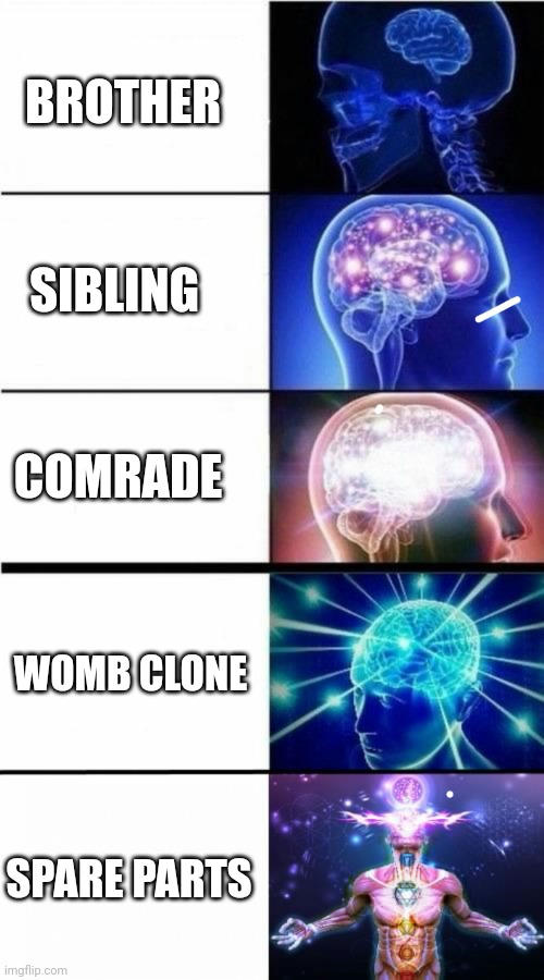 I have returned | BROTHER; SIBLING; COMRADE; WOMB CLONE; SPARE PARTS | image tagged in expanding brain meme | made w/ Imgflip meme maker
