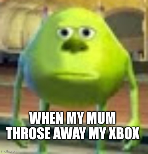 silly | WHEN MY MUM THROSE AWAY MY XBOX | image tagged in sully wazowski | made w/ Imgflip meme maker