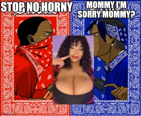 Blood vs Crips | MOMMY I'M SORRY MOMMY? STOP NO HORNY | image tagged in blood vs crips | made w/ Imgflip meme maker