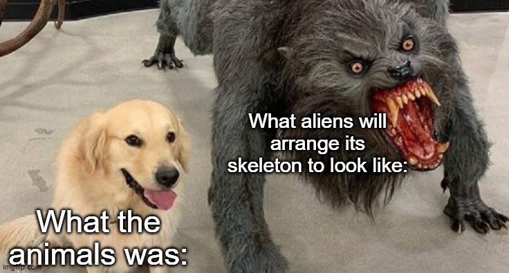 *Insert creative title* | What aliens will arrange its skeleton to look like:; What the animals was: | image tagged in dog next to werewolf | made w/ Imgflip meme maker