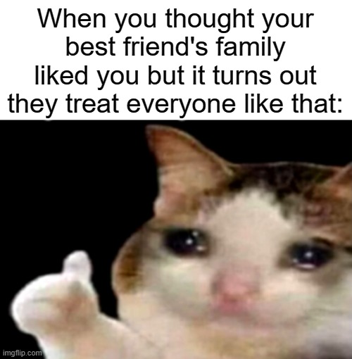 Sad cat thumbs up | When you thought your best friend's family liked you but it turns out they treat everyone like that: | image tagged in sad cat thumbs up | made w/ Imgflip meme maker