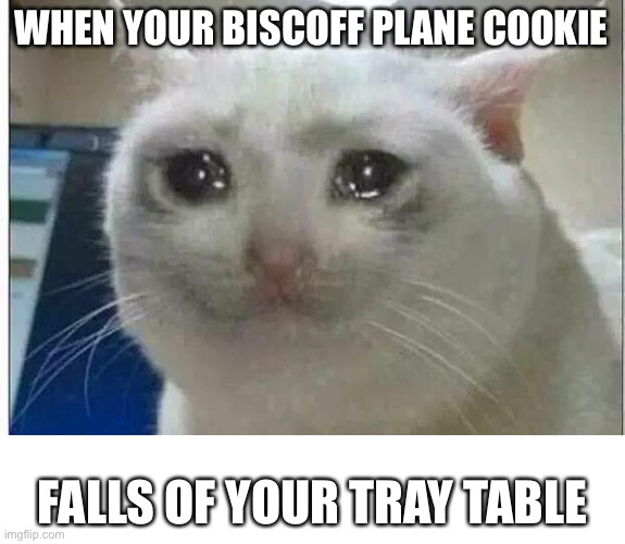 crying cat | WHEN YOUR BISCOFF PLANE COOKIE; FALLS OF YOUR TRAY TABLE | image tagged in crying cat | made w/ Imgflip meme maker