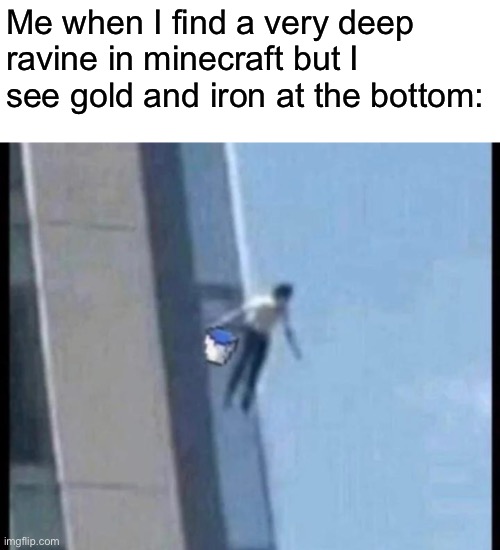 I found some diamonds | Me when I find a very deep ravine in minecraft but I see gold and iron at the bottom: | made w/ Imgflip meme maker