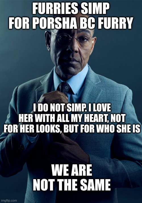 Gus Fring we are not the same | FURRIES SIMP FOR PORSHA BC FURRY; I DO NOT SIMP. I LOVE HER WITH ALL MY HEART, NOT FOR HER LOOKS, BUT FOR WHO SHE IS; WE ARE NOT THE SAME | image tagged in gus fring we are not the same | made w/ Imgflip meme maker