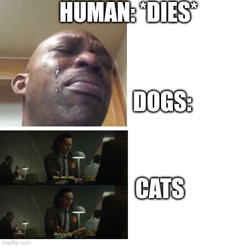  HUMAN: *DIES*; DOGS:; CATS | image tagged in dogs,cats | made w/ Imgflip meme maker