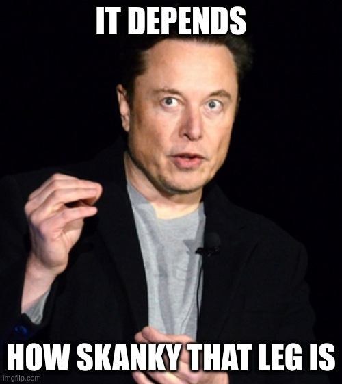 musk | IT DEPENDS; HOW SKANKY THAT LEG IS | image tagged in musk | made w/ Imgflip meme maker