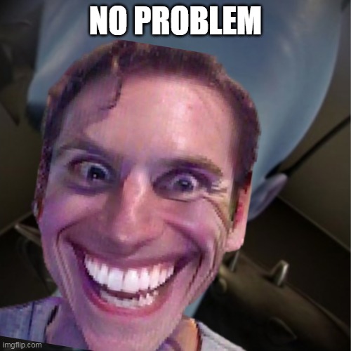 No Problem | NO PROBLEM | image tagged in funny | made w/ Imgflip meme maker