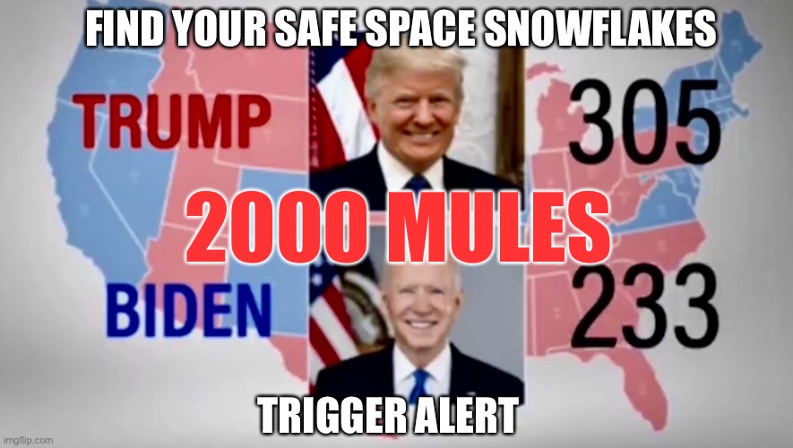 Finally the truth comes out, Trump Won! Told ya so! | FIND YOUR SAFE SPACE SNOWFLAKES; 2000 MULES; TRIGGER ALERT | image tagged in trump won,facts matter,trigger alert,2000 mules | made w/ Imgflip meme maker