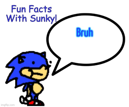 Fun Facts With Sunky! | Bruh | image tagged in fun facts with sunky | made w/ Imgflip meme maker