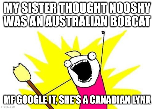 X All The Y | MY SISTER THOUGHT NOOSHY WAS AN AUSTRALIAN BOBCAT; MF GOOGLE IT, SHE'S A CANADIAN LYNX | image tagged in memes,x all the y | made w/ Imgflip meme maker