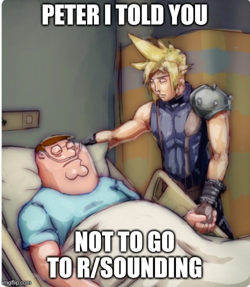 PETER I TOLD YOU | PETER I TOLD YOU; NOT TO GO TO R/SOUNDING | image tagged in peter i told you | made w/ Imgflip meme maker
