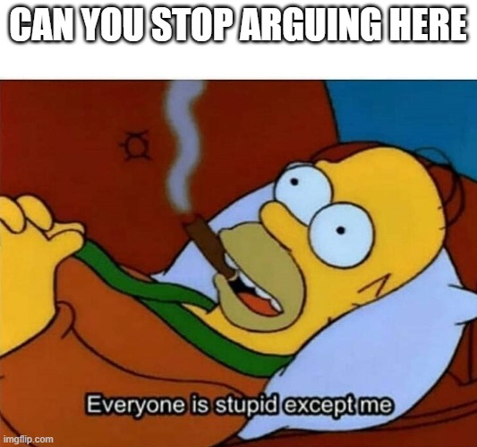 b r e h | CAN YOU STOP ARGUING HERE | image tagged in everyone is stupid except me | made w/ Imgflip meme maker