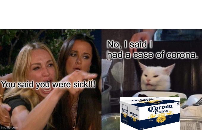 I can go to the park at the park in the park on the park | No, I said I had a case of corona. You said you were sick!!! | image tagged in memes,woman yelling at cat | made w/ Imgflip meme maker