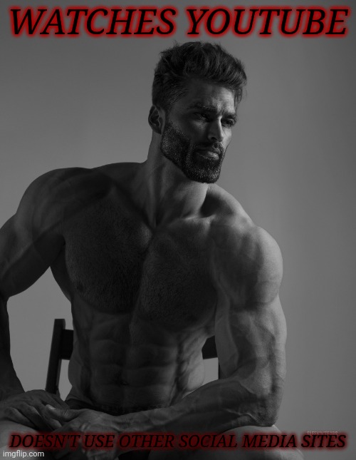 Giga Chad | WATCHES YOUTUBE DOESN'T USE OTHER SOCIAL MEDIA SITES | image tagged in giga chad | made w/ Imgflip meme maker