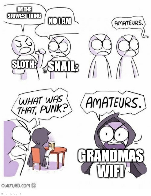 Amateurs | IM THE SLOWEST THING; NO I AM; SLOTH:; SNAIL:; GRANDMAS WIFI | image tagged in amateurs | made w/ Imgflip meme maker