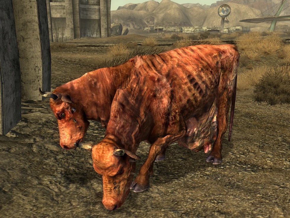 High Quality Two faced Brahmin. Blank Meme Template