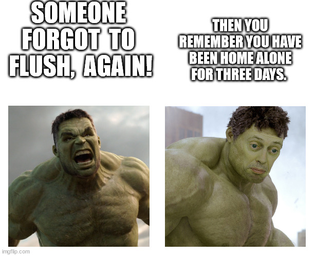 Hulk angry then realizes he's wrong | SOMEONE  FORGOT  TO  FLUSH,  AGAIN! THEN YOU REMEMBER YOU HAVE BEEN HOME ALONE FOR THREE DAYS. | image tagged in hulk angry then realizes he's wrong | made w/ Imgflip meme maker