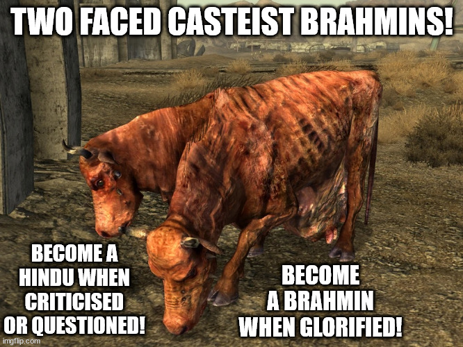 Two faced Brahmin. | TWO FACED CASTEIST BRAHMINS! BECOME A BRAHMIN WHEN GLORIFIED! BECOME A HINDU WHEN CRITICISED OR QUESTIONED! | image tagged in hinduism,caste,hindutva,reservation,dalit,religion | made w/ Imgflip meme maker