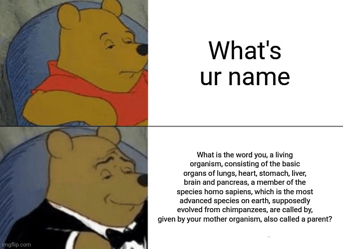 Wut is ur name bro | What's ur name; What is the word you, a living organism, consisting of the basic organs of lungs, heart, stomach, liver, brain and pancreas, a member of the species homo sapiens, which is the most advanced species on earth, supposedly evolved from chimpanzees, are called by, given by your mother organism, also called a parent? | image tagged in memes,tuxedo winnie the pooh | made w/ Imgflip meme maker