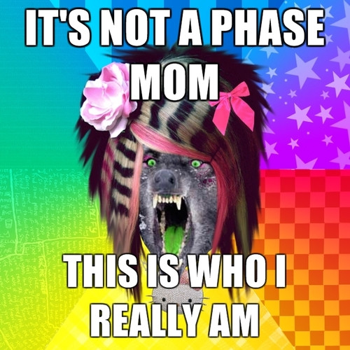 Not a Phase | image tagged in memes,insanity wolf
