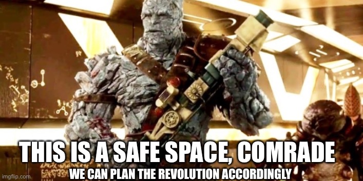 Korg revolution has begun | WE CAN PLAN THE REVOLUTION ACCORDINGLY THIS IS A SAFE SPACE, COMRADE | image tagged in korg revolution has begun | made w/ Imgflip meme maker