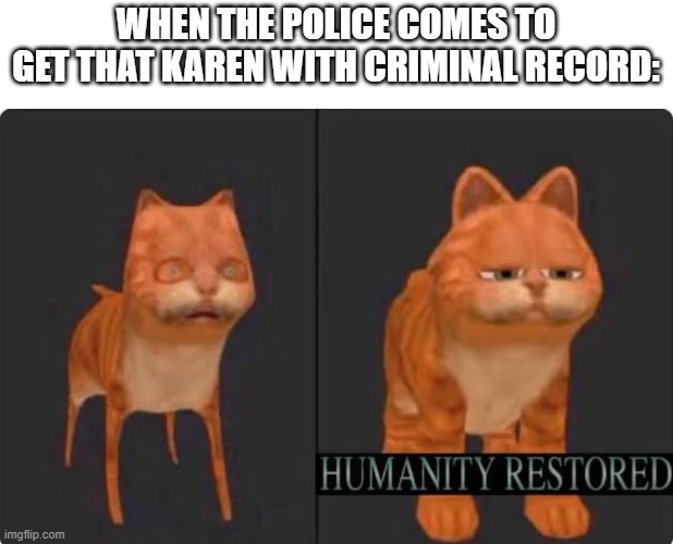 haah yes |  WHEN THE POLICE COMES TO GET THAT KAREN WITH CRIMINAL RECORD: | image tagged in humanity restored,memes,garfield,yay,funny | made w/ Imgflip meme maker