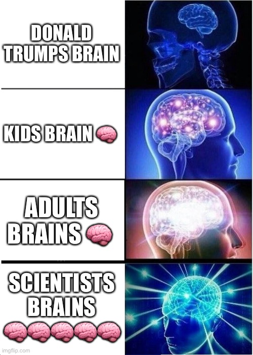 Expanding Brain Meme |  DONALD TRUMPS BRAIN; KIDS BRAIN 🧠; ADULTS BRAINS 🧠; SCIENTISTS BRAINS 🧠🧠🧠🧠🧠 | image tagged in memes,expanding brain | made w/ Imgflip meme maker