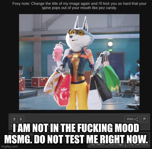 i know who you are (test me one more time. test. me. I am not in the fucking mood for games.) (okay) | I AM NOT IN THE FUCKING MOOD MSMG. DO NOT TEST ME RIGHT NOW. | made w/ Imgflip meme maker