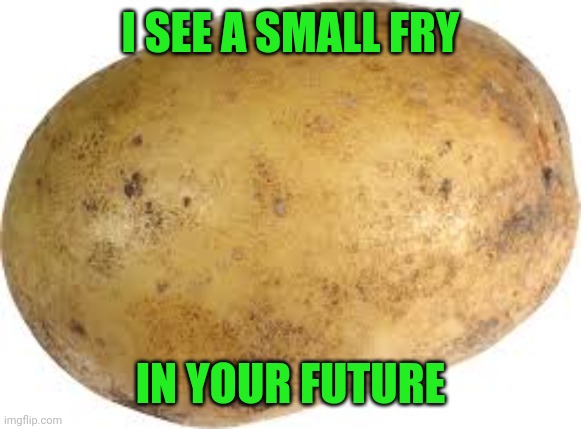 Memes | I SEE A SMALL FRY IN YOUR FUTURE | image tagged in memes | made w/ Imgflip meme maker