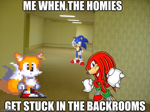 Me and the homies | ME WHEN THE HOMIES; GET STUCK IN THE BACKROOMS | image tagged in the backrooms,sonic the hedgehog | made w/ Imgflip meme maker