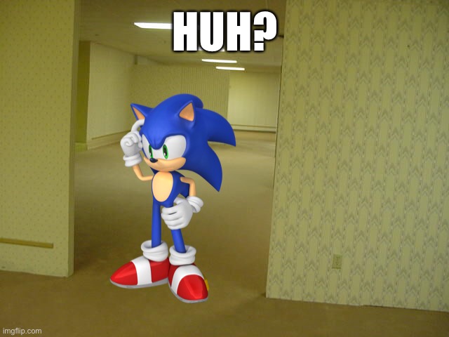 Huh? | HUH? | image tagged in the backrooms,sonic the hedgehog | made w/ Imgflip meme maker