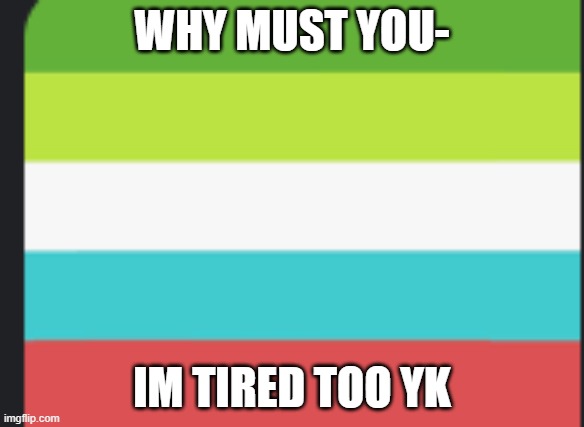 dnf flag | WHY MUST YOU- IM TIRED TOO YK | image tagged in dnf flag | made w/ Imgflip meme maker