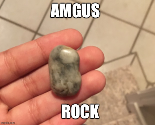 Sussy sport | AMGUS; ROCK | image tagged in among us,rock | made w/ Imgflip meme maker