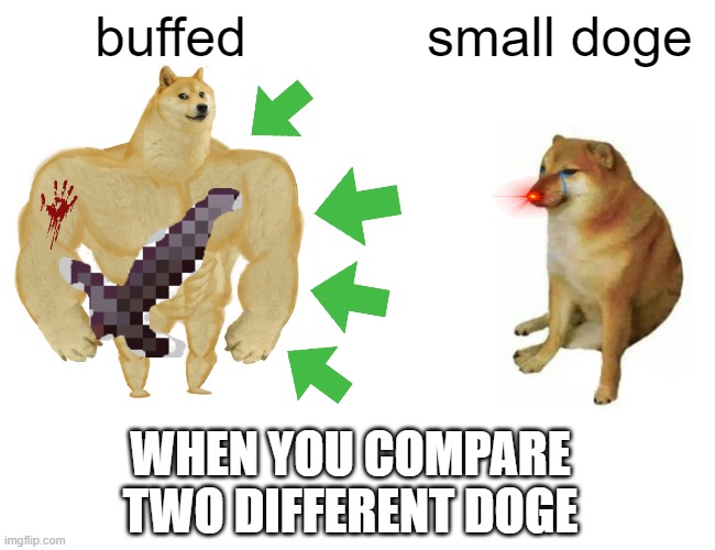 Doge | buffed; small doge; WHEN YOU COMPARE TWO DIFFERENT DOGE | image tagged in memes,buff doge vs cheems | made w/ Imgflip meme maker