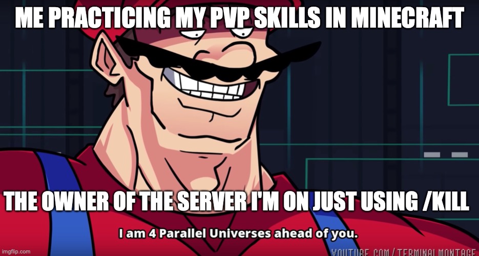 QWA | ME PRACTICING MY PVP SKILLS IN MINECRAFT; THE OWNER OF THE SERVER I'M ON JUST USING /KILL | image tagged in i am 4 parrallel universes ahead of you | made w/ Imgflip meme maker