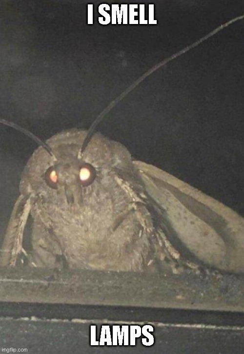 Moth | I SMELL LAMPS | image tagged in moth | made w/ Imgflip meme maker