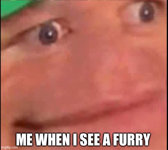 I want to die this world is ruined | ME WHEN I SEE A FURRY | image tagged in memes | made w/ Imgflip meme maker