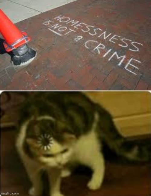 *Homelessness | image tagged in buffering cat,you had one job,homelessness,fail,memes,spelling error | made w/ Imgflip meme maker