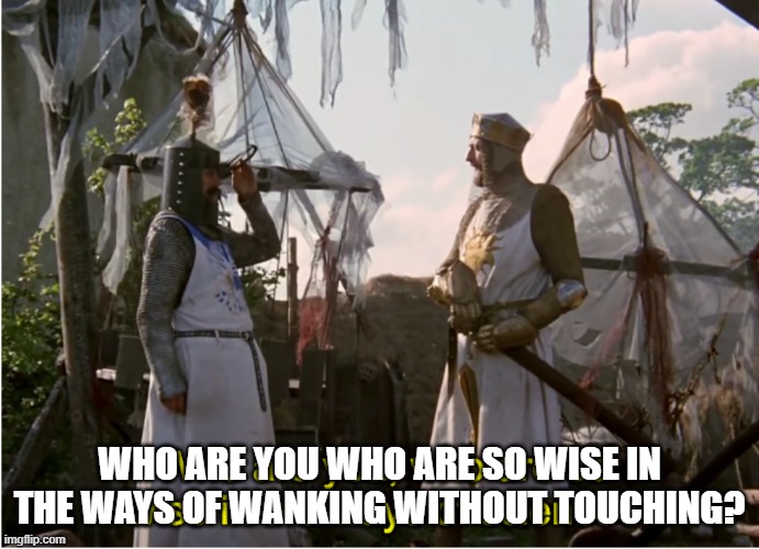 Monty Python Science | WHO ARE YOU WHO ARE SO WISE IN THE WAYS OF WANKING WITHOUT TOUCHING? | image tagged in monty python science | made w/ Imgflip meme maker