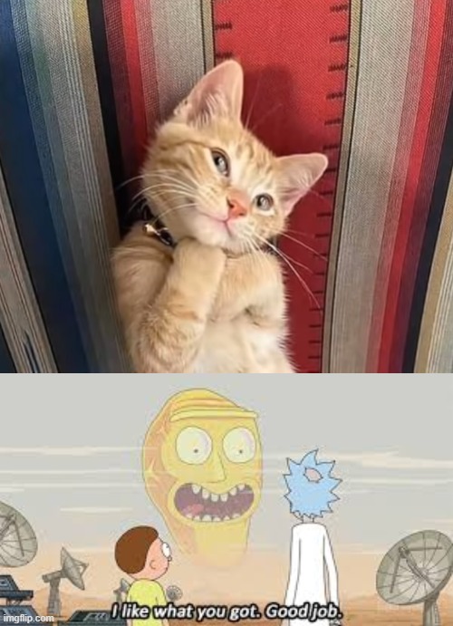 image tagged in i like what you got | made w/ Imgflip meme maker