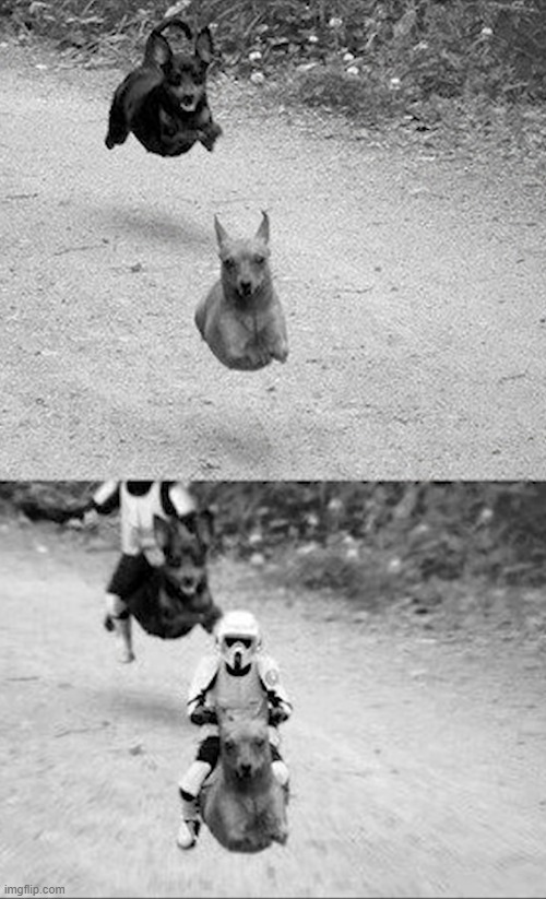 image tagged in awesome | made w/ Imgflip meme maker