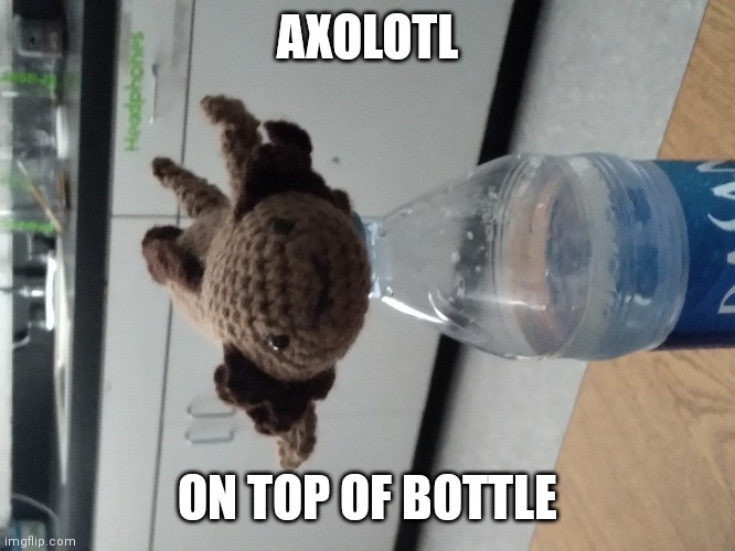 Axlotle | AXOLOTL; ON TOP OF BOTTLE | image tagged in memes | made w/ Imgflip meme maker